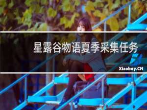 星露谷物语夏季采集任务