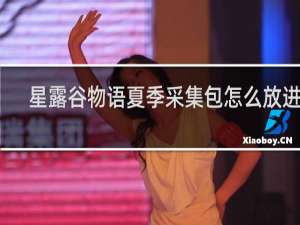 星露谷物语夏季采集包怎么放进去