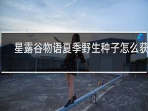 星露谷物语夏季野生种子怎么获得