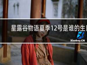 星露谷物语夏季12号是谁的生日