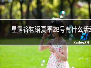 星露谷物语夏季28号有什么活动