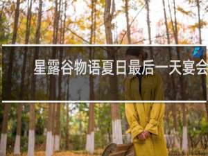 星露谷物语夏日最后一天宴会