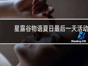 星露谷物语夏日最后一天活动