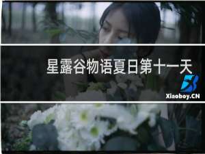星露谷物语夏日第十一天