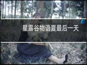星露谷物语夏最后一天