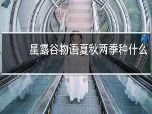 星露谷物语夏秋两季种什么