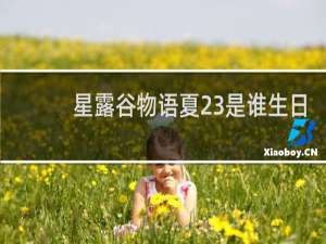 星露谷物语夏23是谁生日