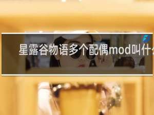 星露谷物语多个配偶mod叫什么
