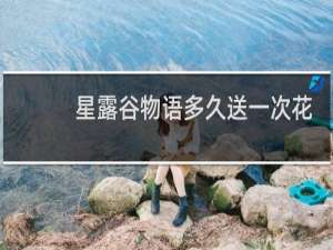 星露谷物语多久送一次花