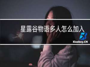 星露谷物语多人怎么加入