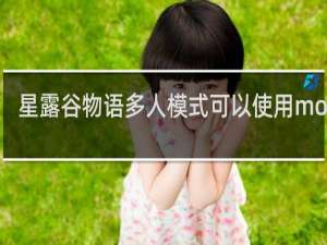 星露谷物语多人模式可以使用mod吗