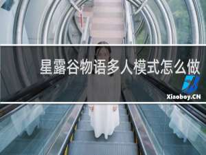 星露谷物语多人模式怎么做