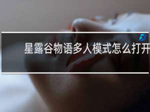 星露谷物语多人模式怎么打开