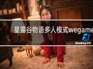 星露谷物语多人模式wegame