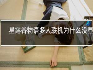 星露谷物语多人联机为什么没显示