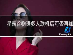 星露谷物语多人联机后可否再加人