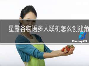 星露谷物语多人联机怎么创建角色