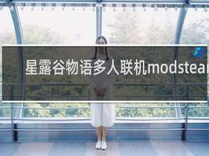 星露谷物语多人联机modsteam