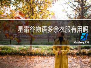 星露谷物语多余衣服有用吗