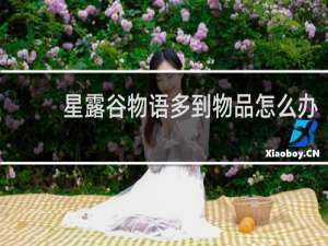 星露谷物语多到物品怎么办