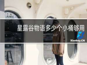 星露谷物语多少个小桶够用