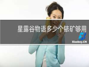 星露谷物语多少个铱矿够用