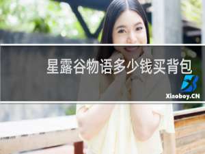 星露谷物语多少钱买背包