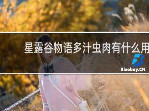 星露谷物语多汁虫肉有什么用