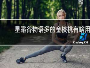 星露谷物语多的金核桃有啥用