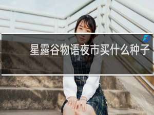星露谷物语夜市买什么种子