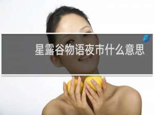 星露谷物语夜市什么意思