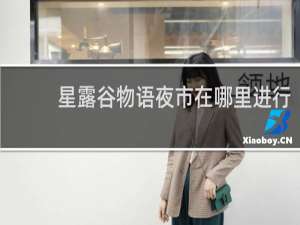 星露谷物语夜市在哪里进行
