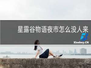 星露谷物语夜市怎么没人来