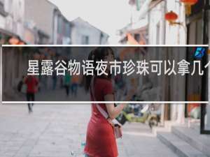 星露谷物语夜市珍珠可以拿几个
