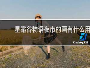 星露谷物语夜市的画有什么用