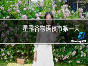 星露谷物语夜市第一天