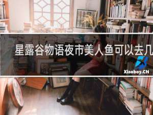 星露谷物语夜市美人鱼可以去几次