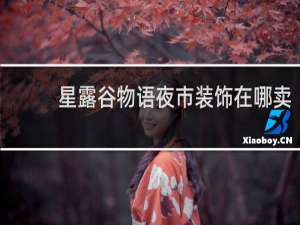 星露谷物语夜市装饰在哪卖