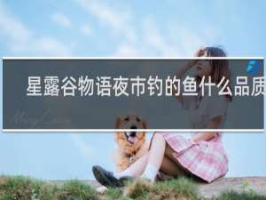 星露谷物语夜市钓的鱼什么品质的
