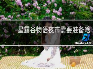 星露谷物语夜市需要准备啥