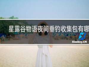 星露谷物语夜间垂钓收集包有哪些