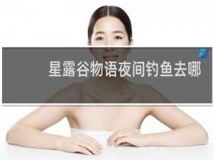 星露谷物语夜间钓鱼去哪
