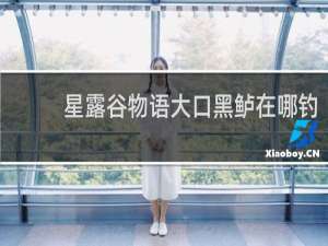 星露谷物语大口黑鲈在哪钓