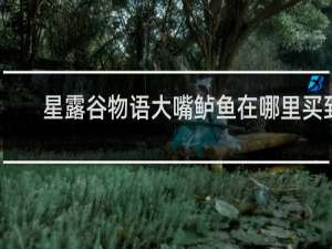 星露谷物语大嘴鲈鱼在哪里买到