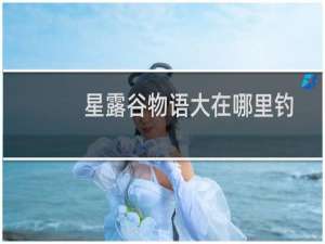 星露谷物语大在哪里钓