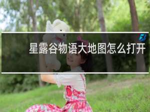 星露谷物语大地图怎么打开