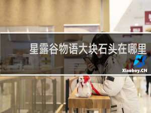 星露谷物语大块石头在哪里