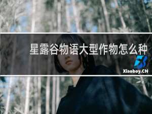 星露谷物语大型作物怎么种