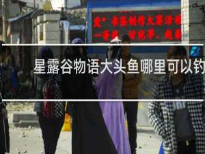 星露谷物语大头鱼哪里可以钓