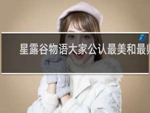 星露谷物语大家公认最美和最帅